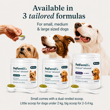 ProCans® Advanced Dental Powder for dogs